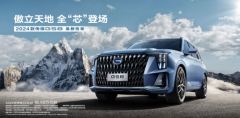 这样购车，至高能直接省20000万元！