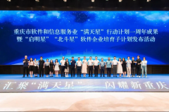 重庆市政府对梧桐车联研发技术的高度认可 综合实力入选50强