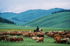 打工人开影速到阿勒泰什么体验